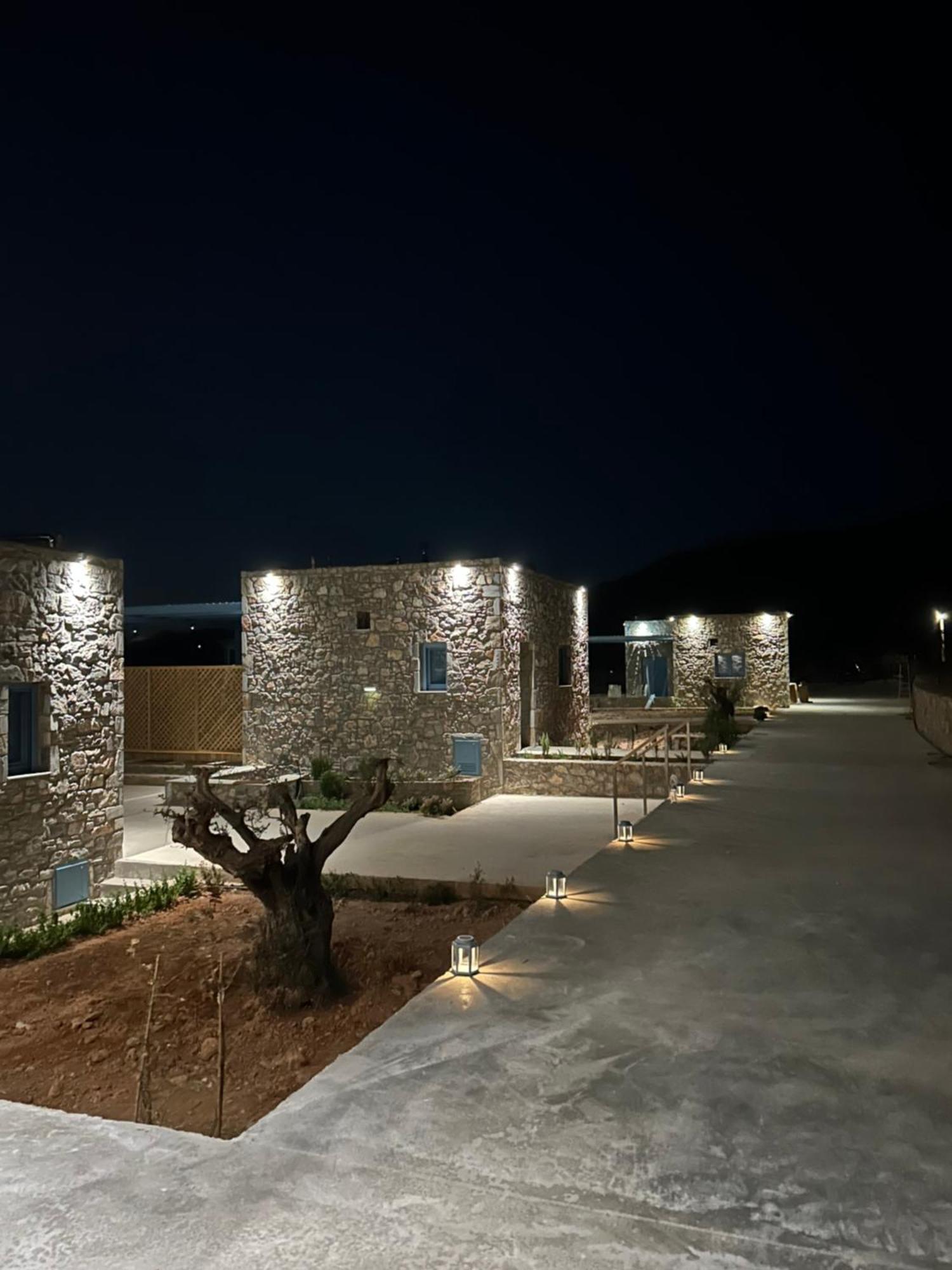 Villa Filotimia à Schoinoussa Extérieur photo